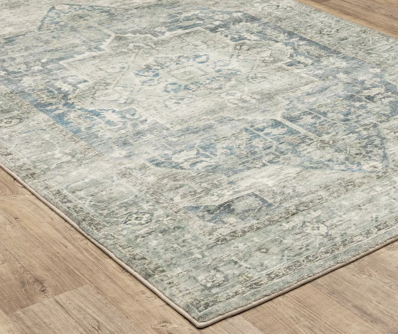 Savadore Gray & Blue Medallion Area Rug - Image 7